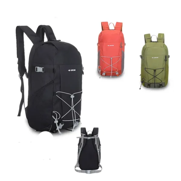 Mochila Alpine Skate 16243